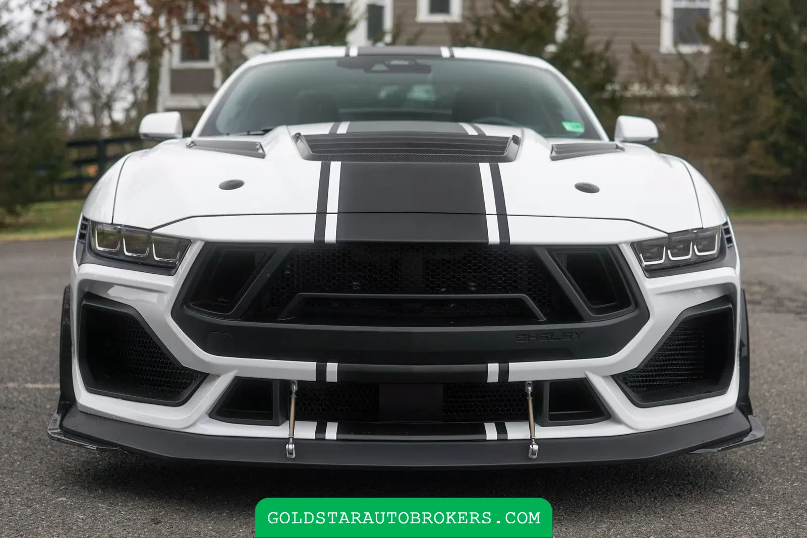 2024 Ford Mustang Shelby Super Snake