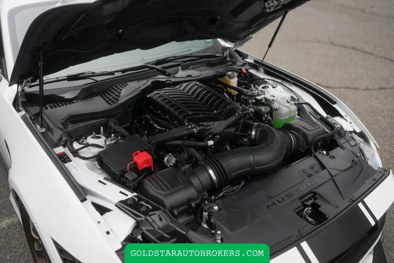 2024 Ford Mustang Shelby Super Snake