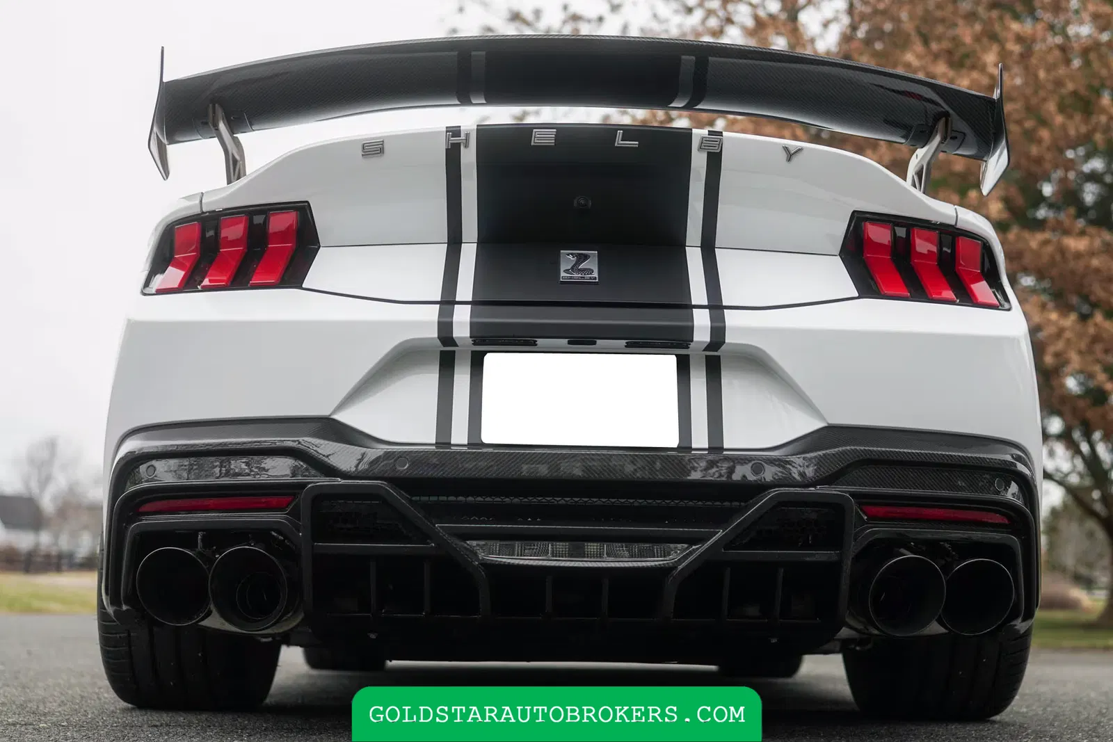 2024 Ford Mustang Shelby Super Snake