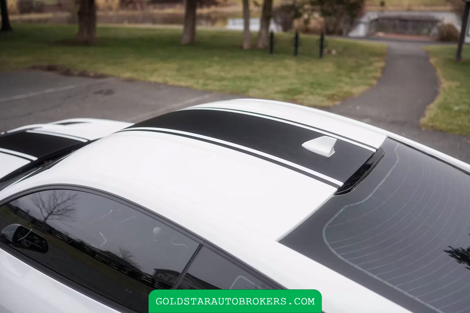 2024 Ford Mustang Shelby Super Snake