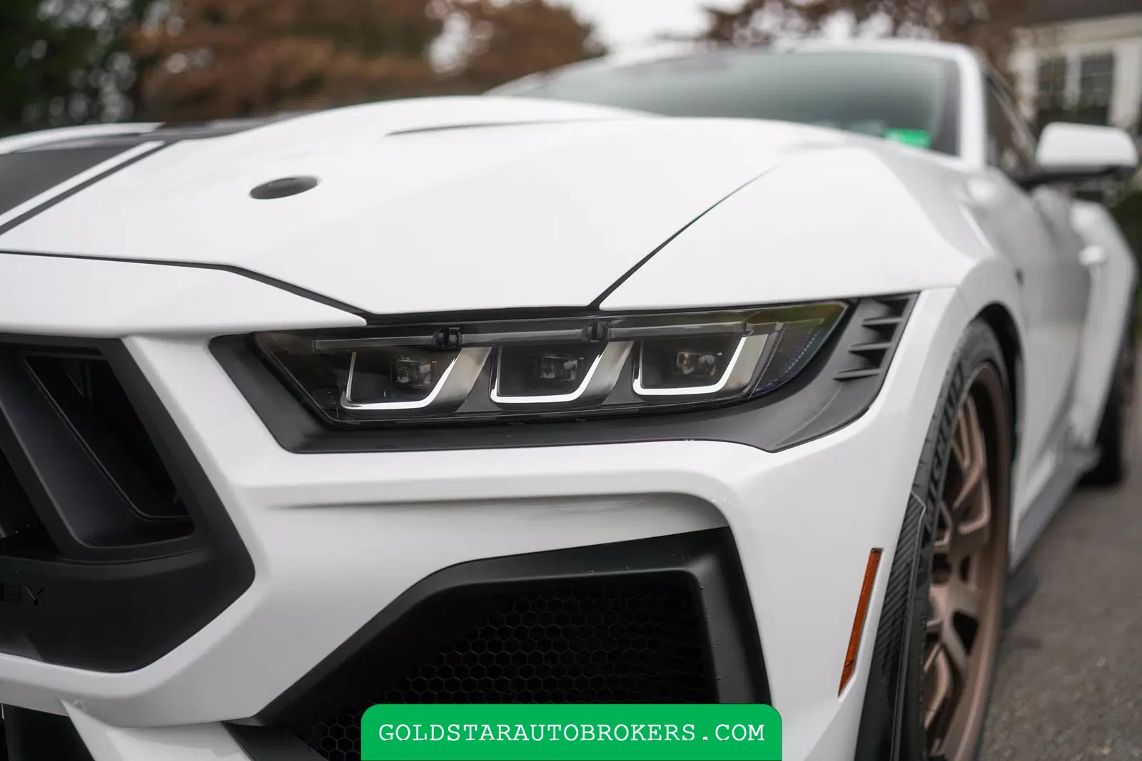 2024 Ford Mustang Shelby Super Snake