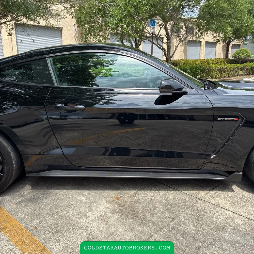 2019 Ford Mustang Shelby GT350R