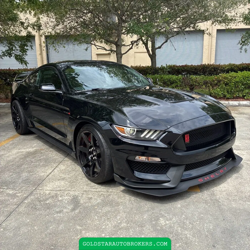 2019 Ford Mustang Shelby GT350R