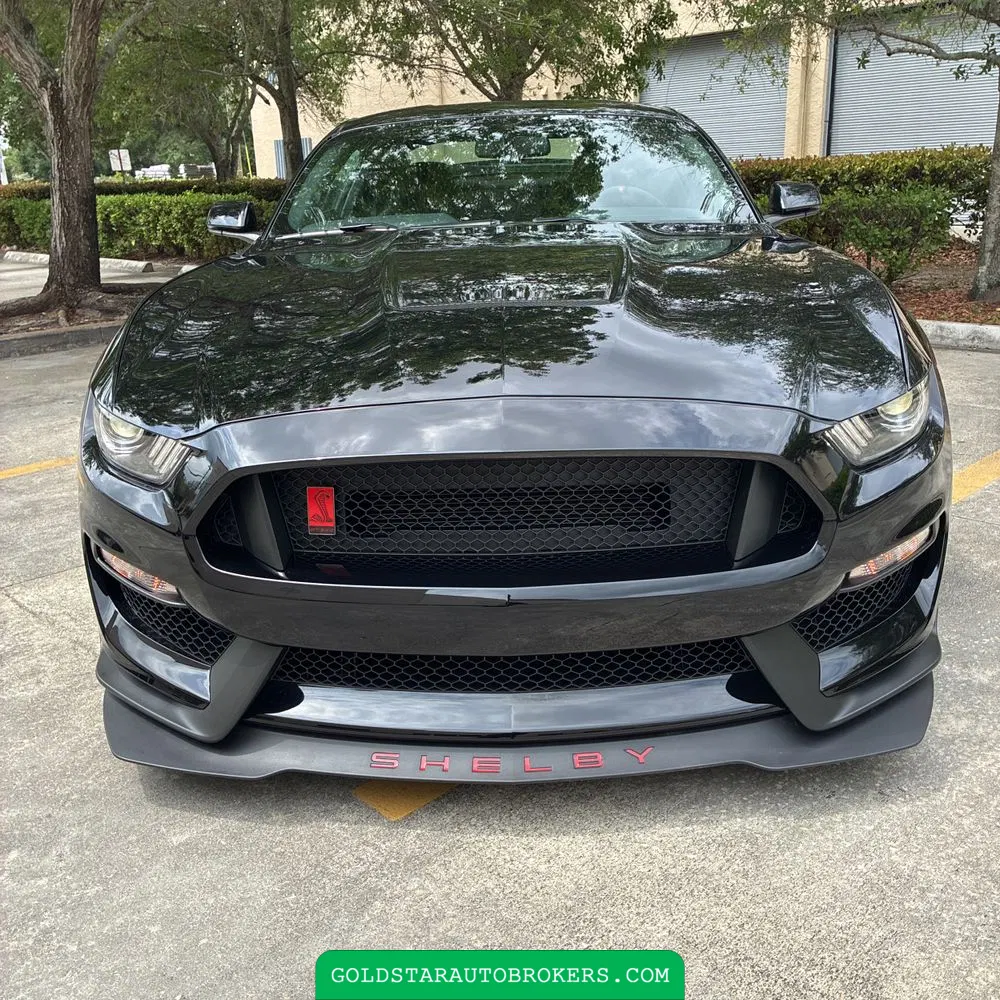2019 Ford Mustang Shelby GT350R