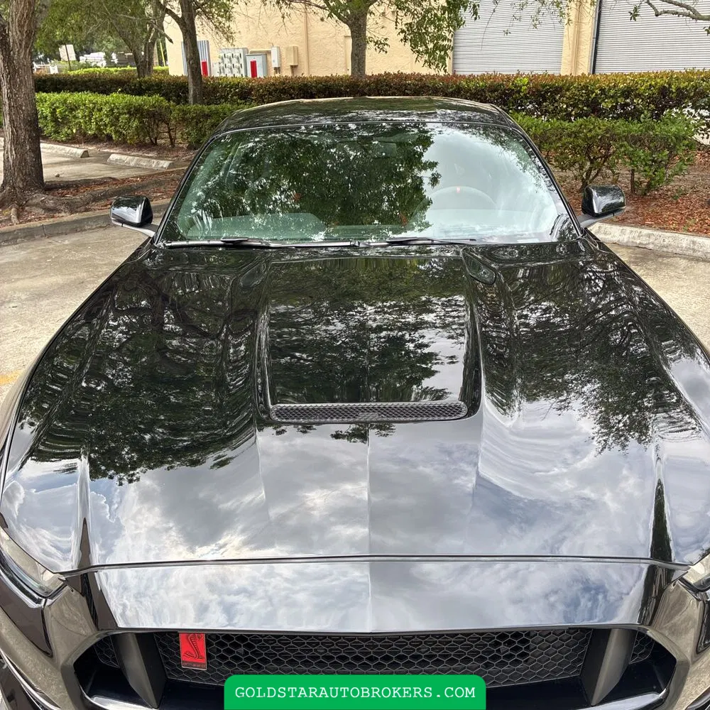 2019 Ford Mustang Shelby GT350R
