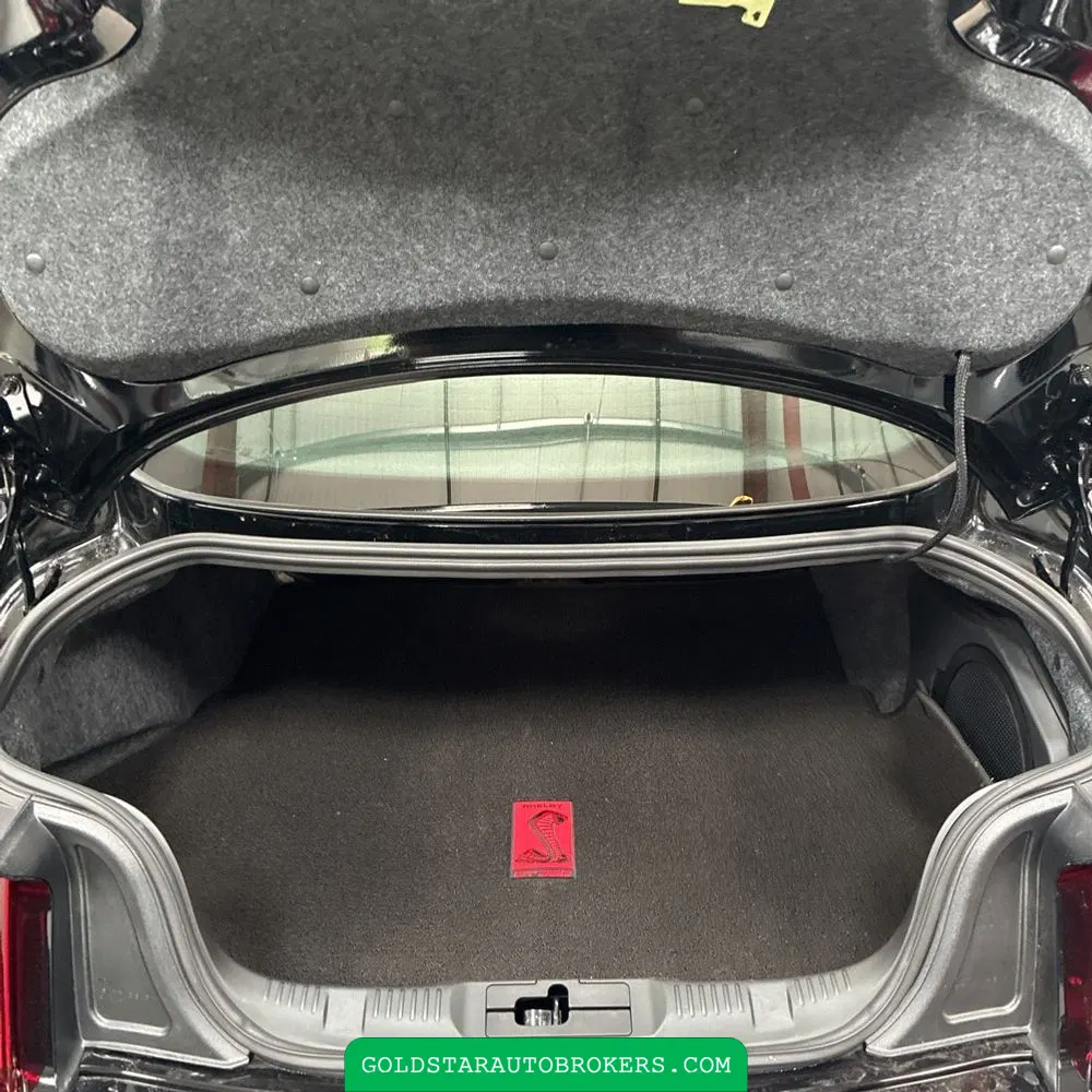 2019 Ford Mustang Shelby GT350R