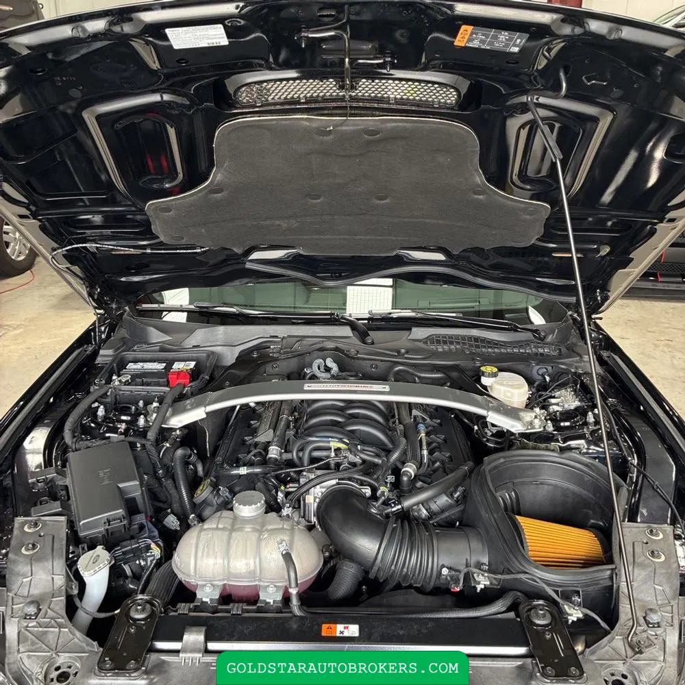 2019 Ford Mustang Shelby GT350R