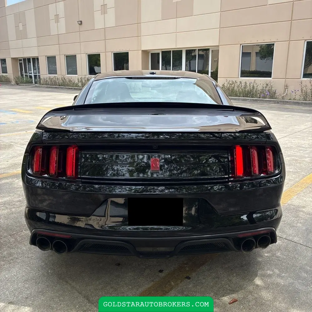 2019 Ford Mustang Shelby GT350R