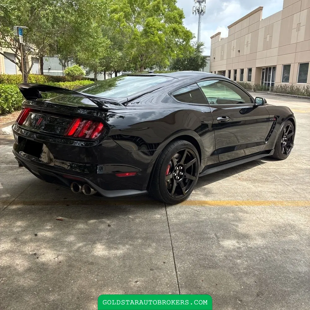 2019 Ford Mustang Shelby GT350R