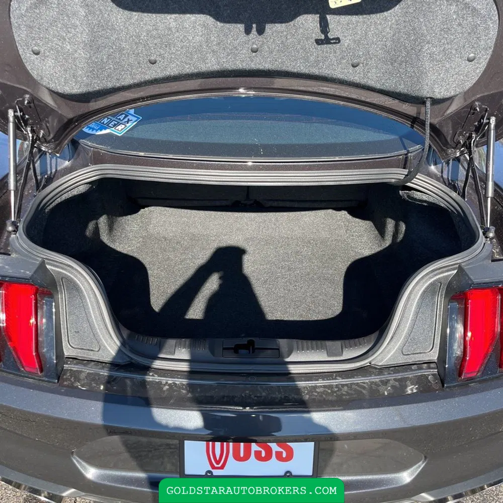 2022 Ford Mustang Mach 1