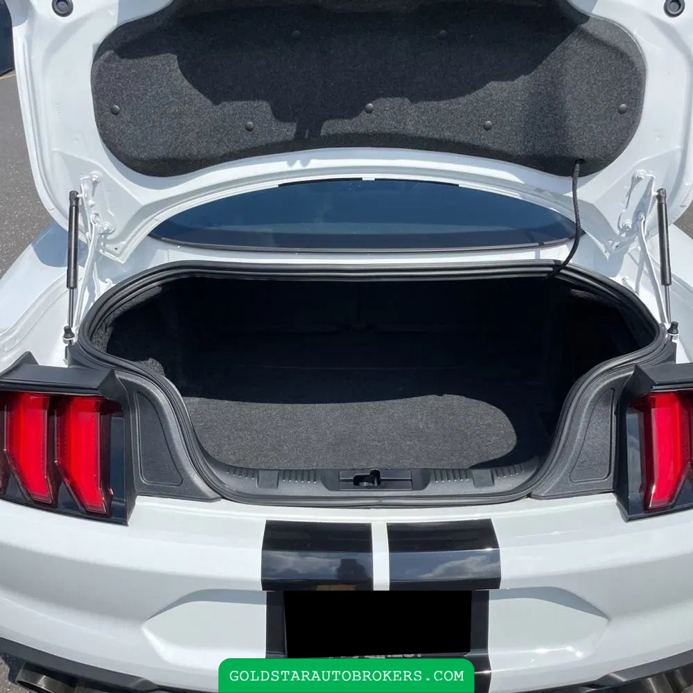 2021 Ford Mustang Shelby GT500