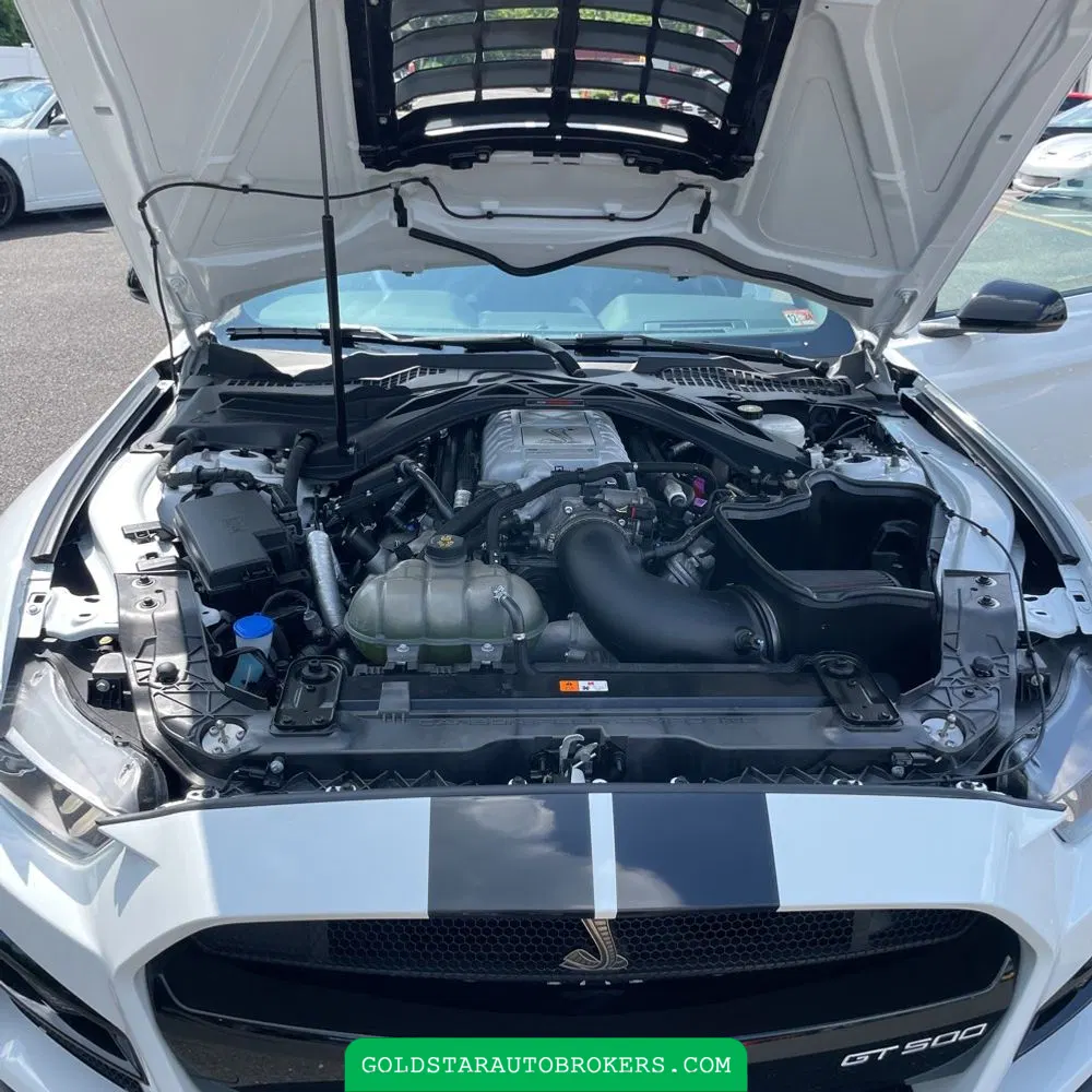 2021 Ford Mustang Shelby GT500