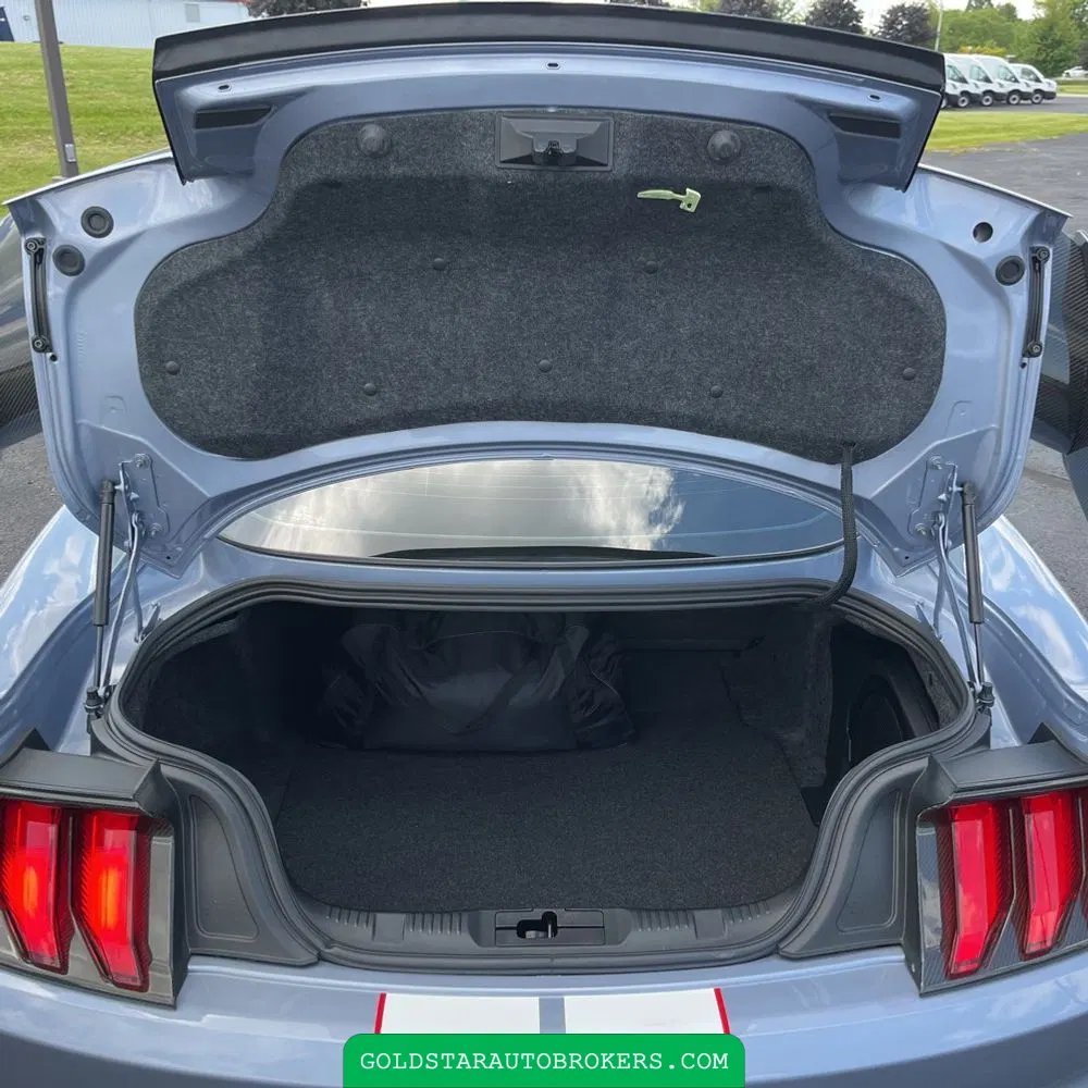 2022 Ford Mustang Shelby GT500