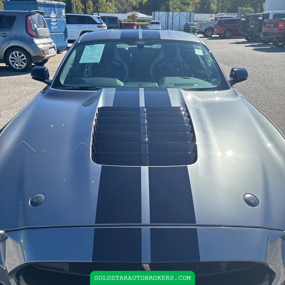 2021 Ford Mustang Shelby GT500