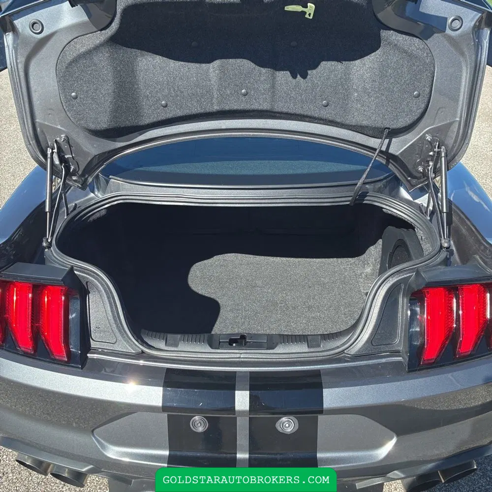 2021 Ford Mustang Shelby GT500