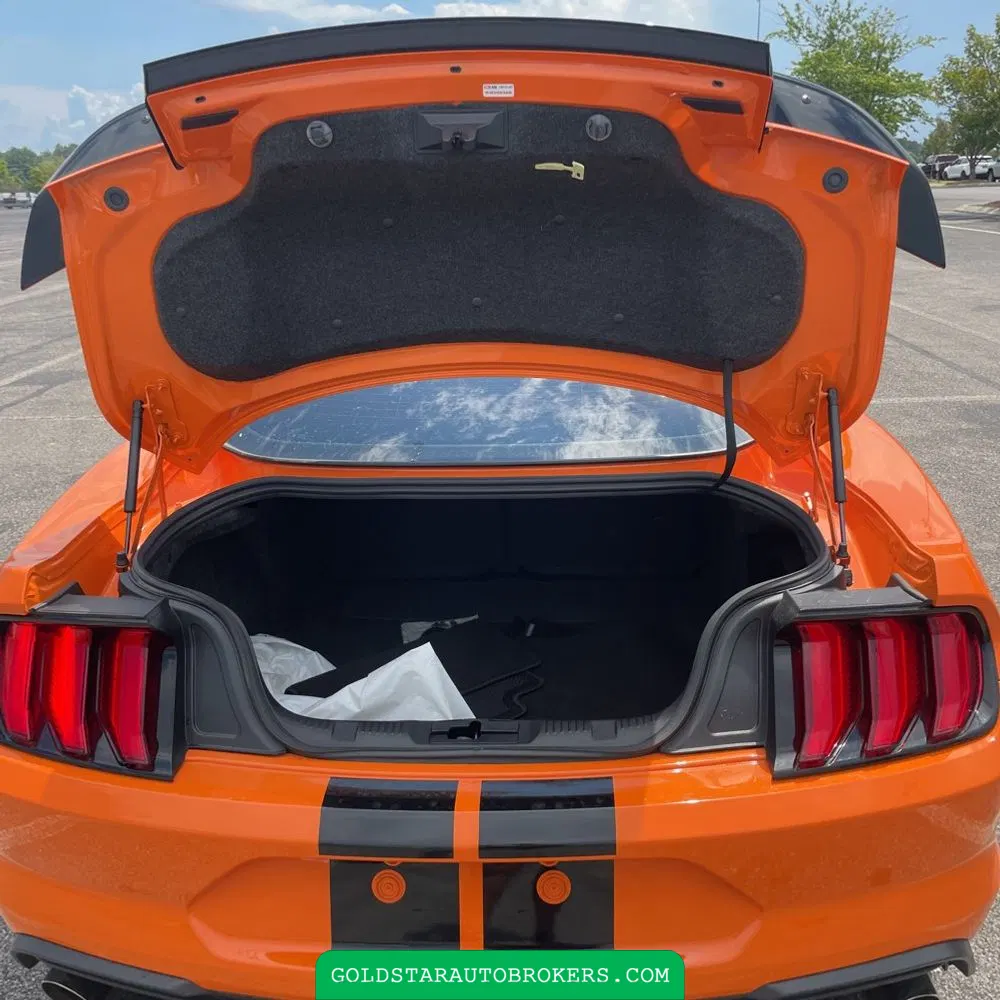 2021 Ford Mustang Shelby GT500