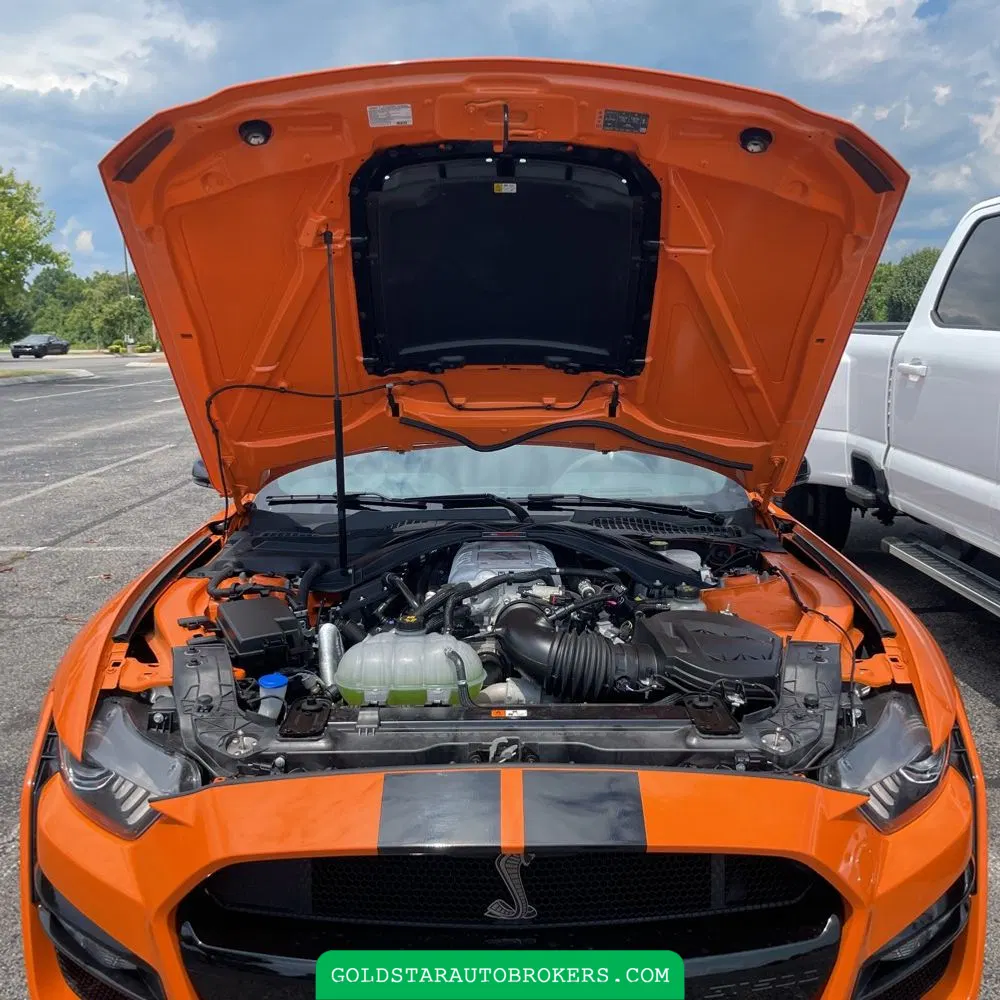 2021 Ford Mustang Shelby GT500