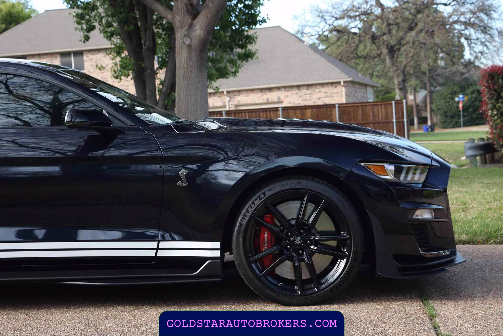 2021 Ford Mustang Shelby GT500