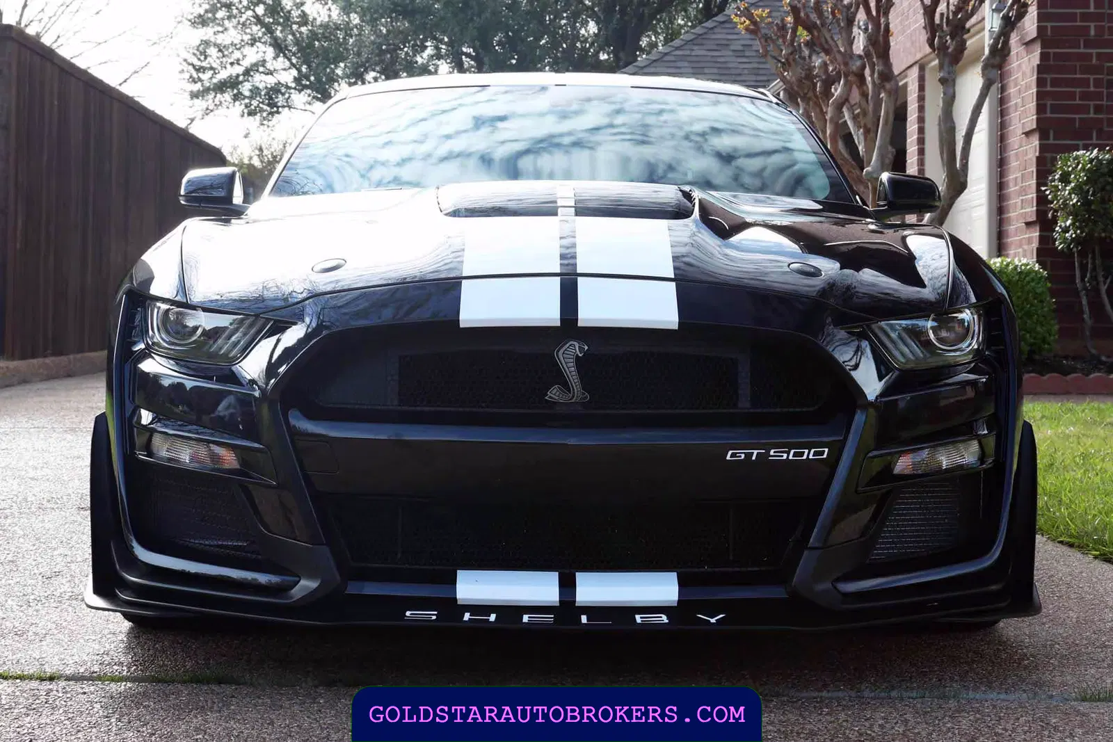 2021 Ford Mustang Shelby GT500