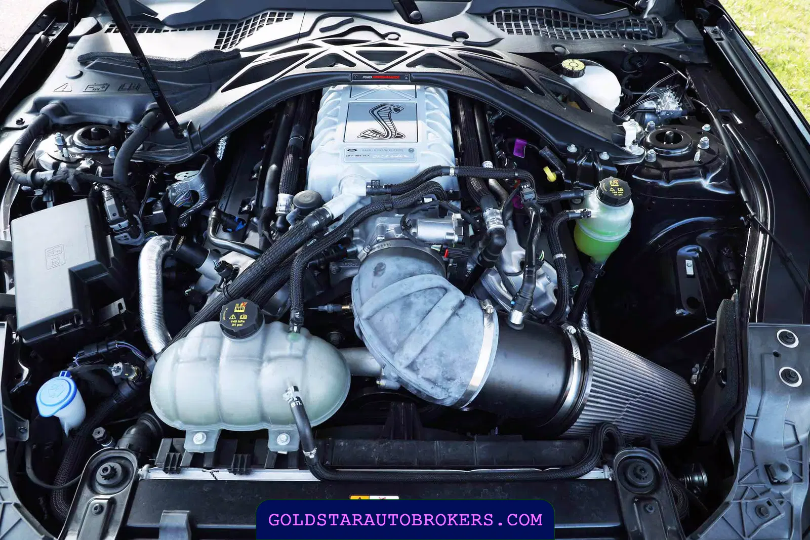 2021 Ford Mustang Shelby GT500