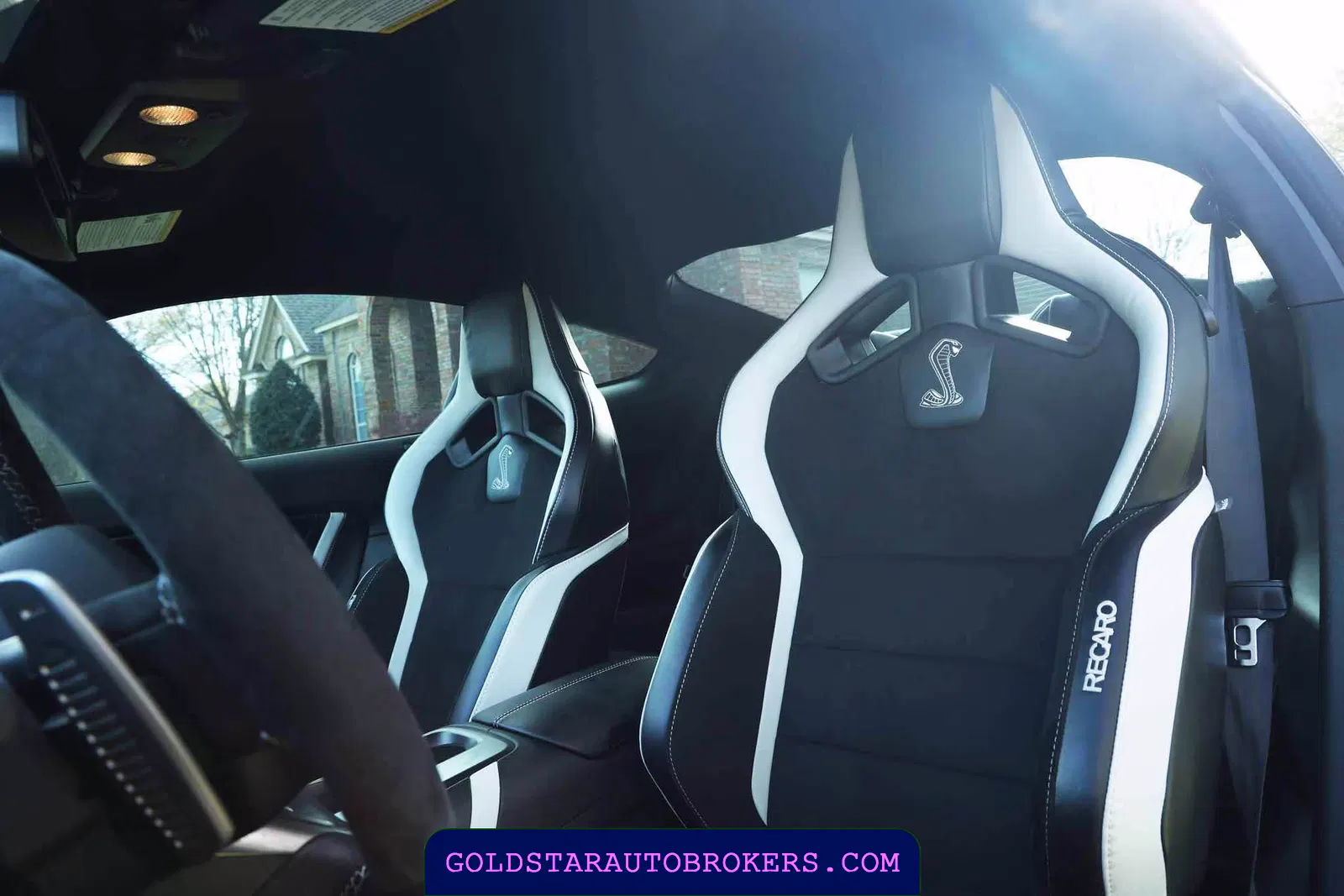 2021 Ford Mustang Shelby GT500