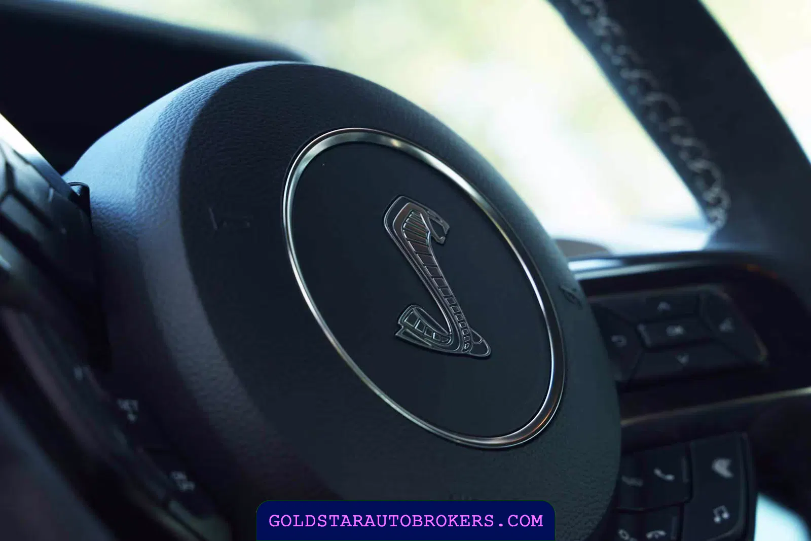2021 Ford Mustang Shelby GT500