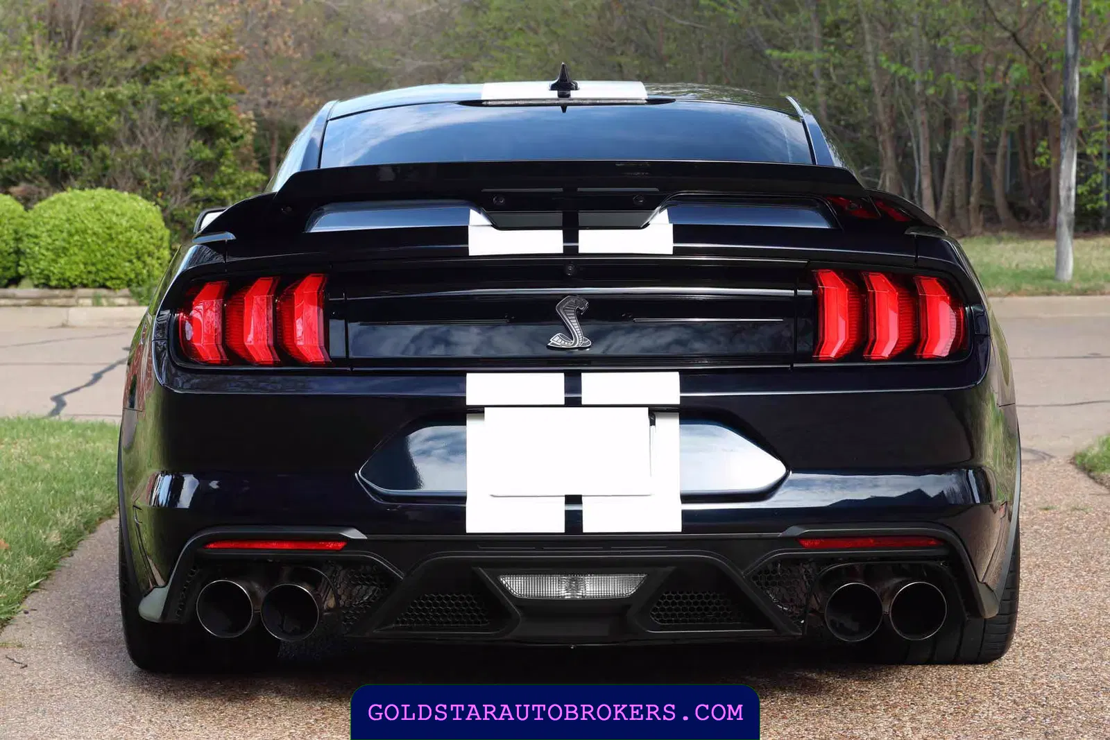 2021 Ford Mustang Shelby GT500