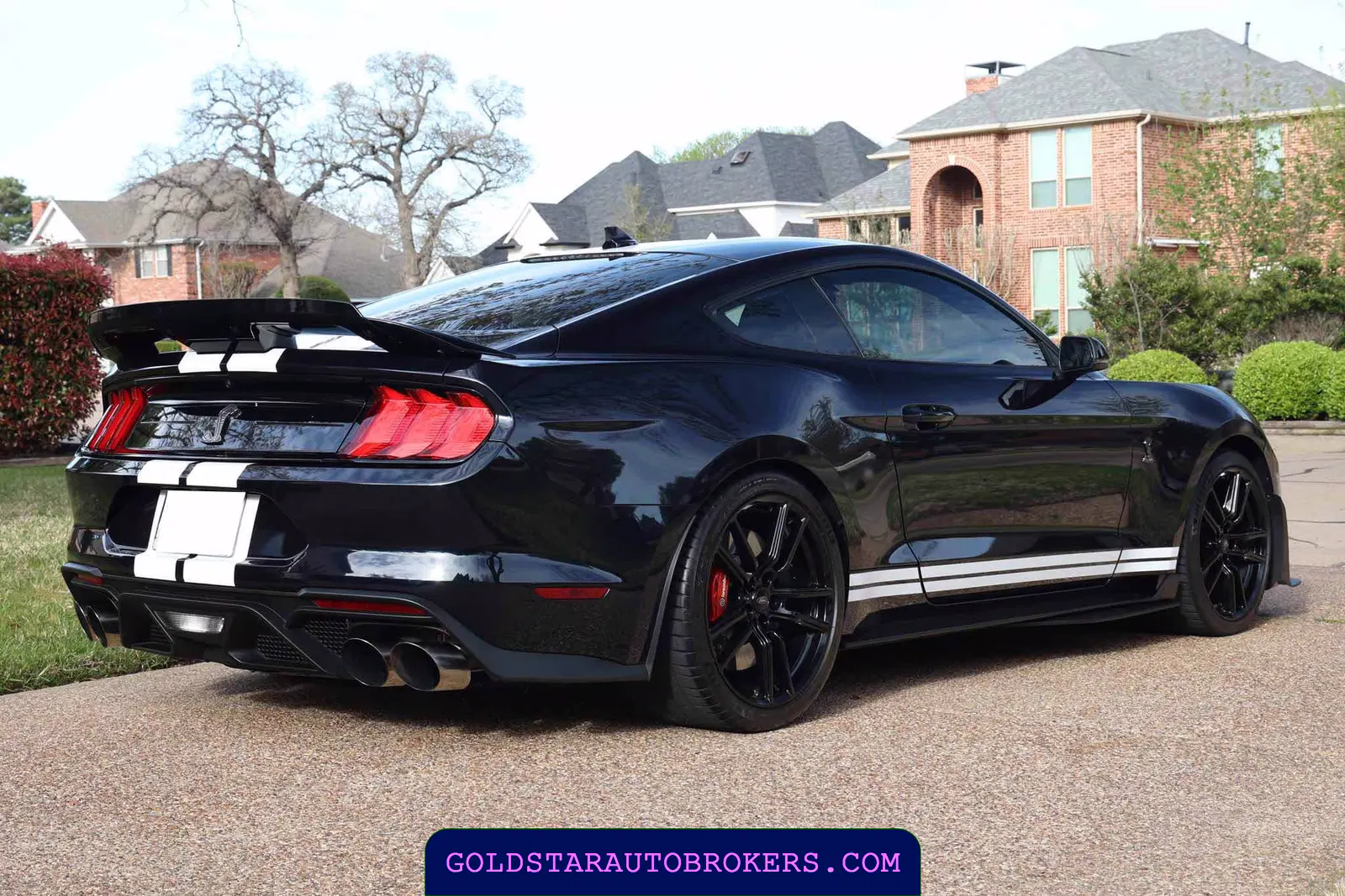 2021 Ford Mustang Shelby GT500