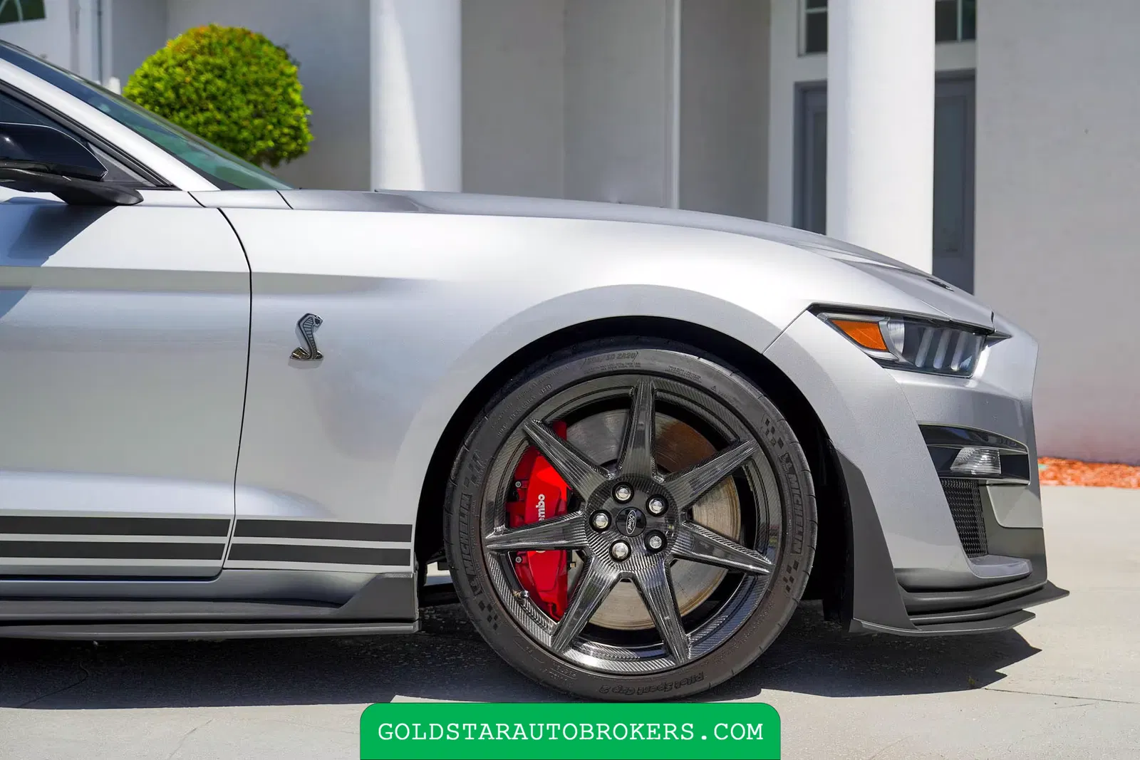 2021 Ford Mustang Shelby GT500
