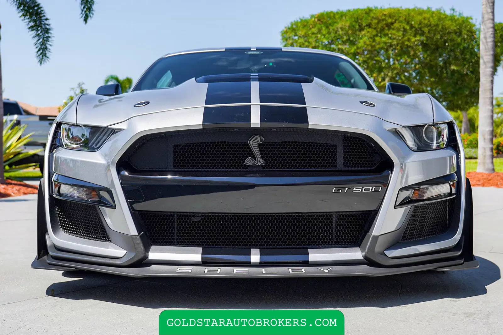 2021 Ford Mustang Shelby GT500