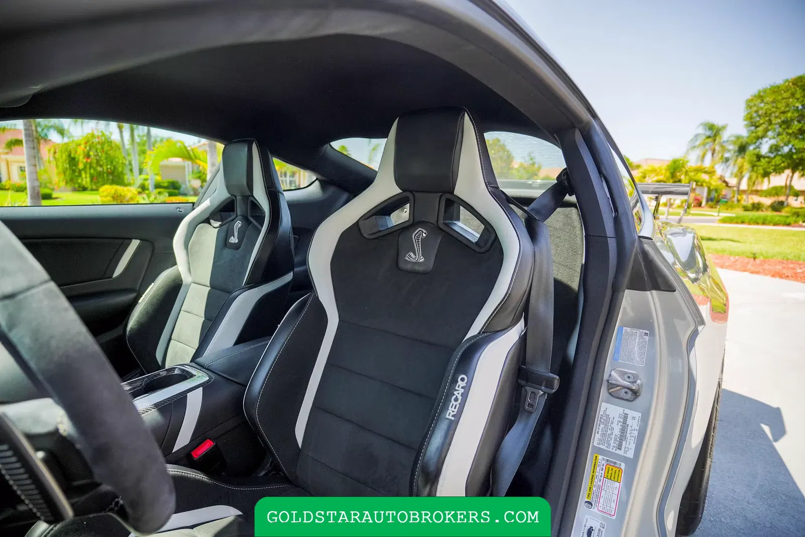 2021 Ford Mustang Shelby GT500