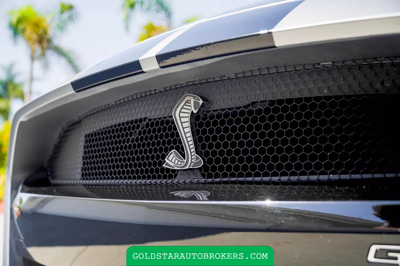 2021 Ford Mustang Shelby GT500