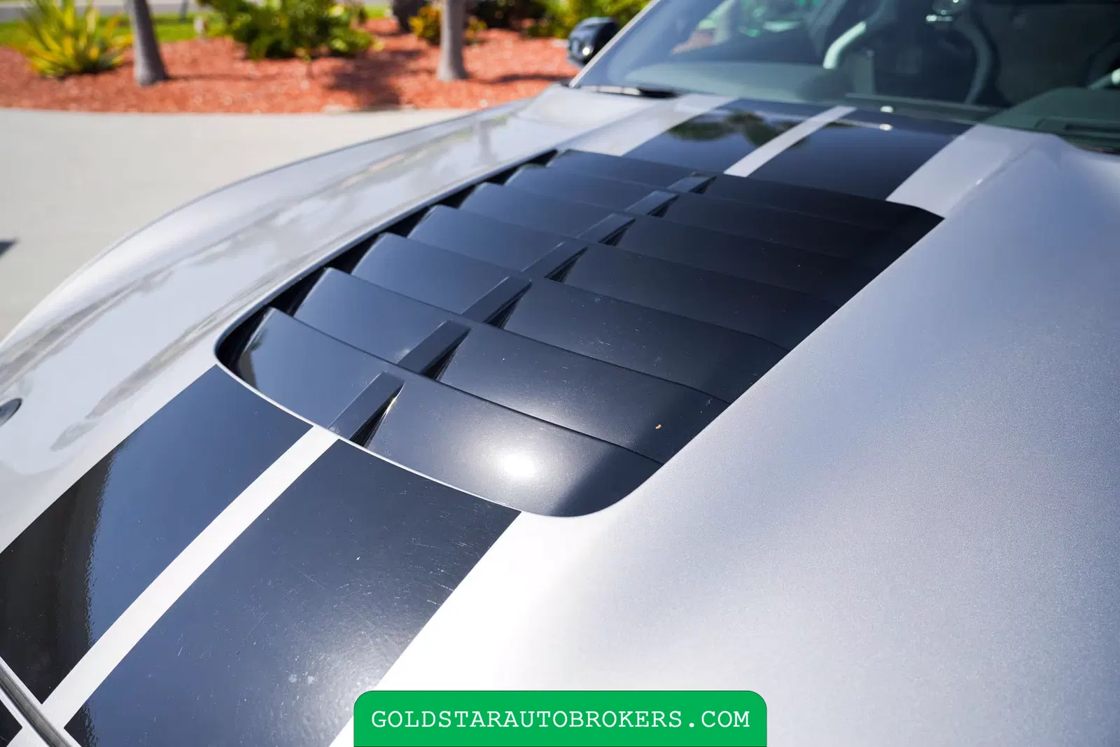 2021 Ford Mustang Shelby GT500