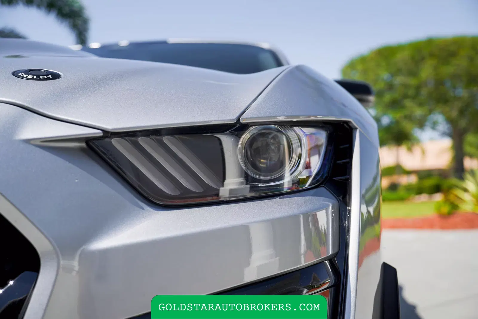 2021 Ford Mustang Shelby GT500