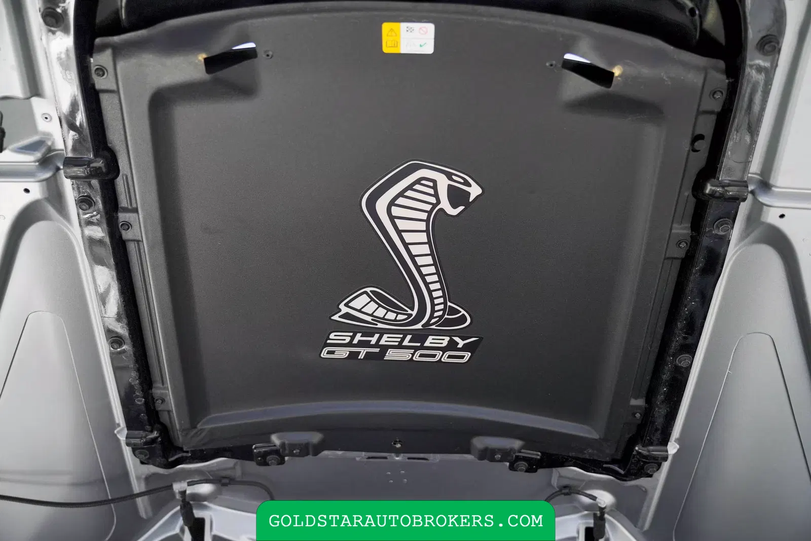 2021 Ford Mustang Shelby GT500