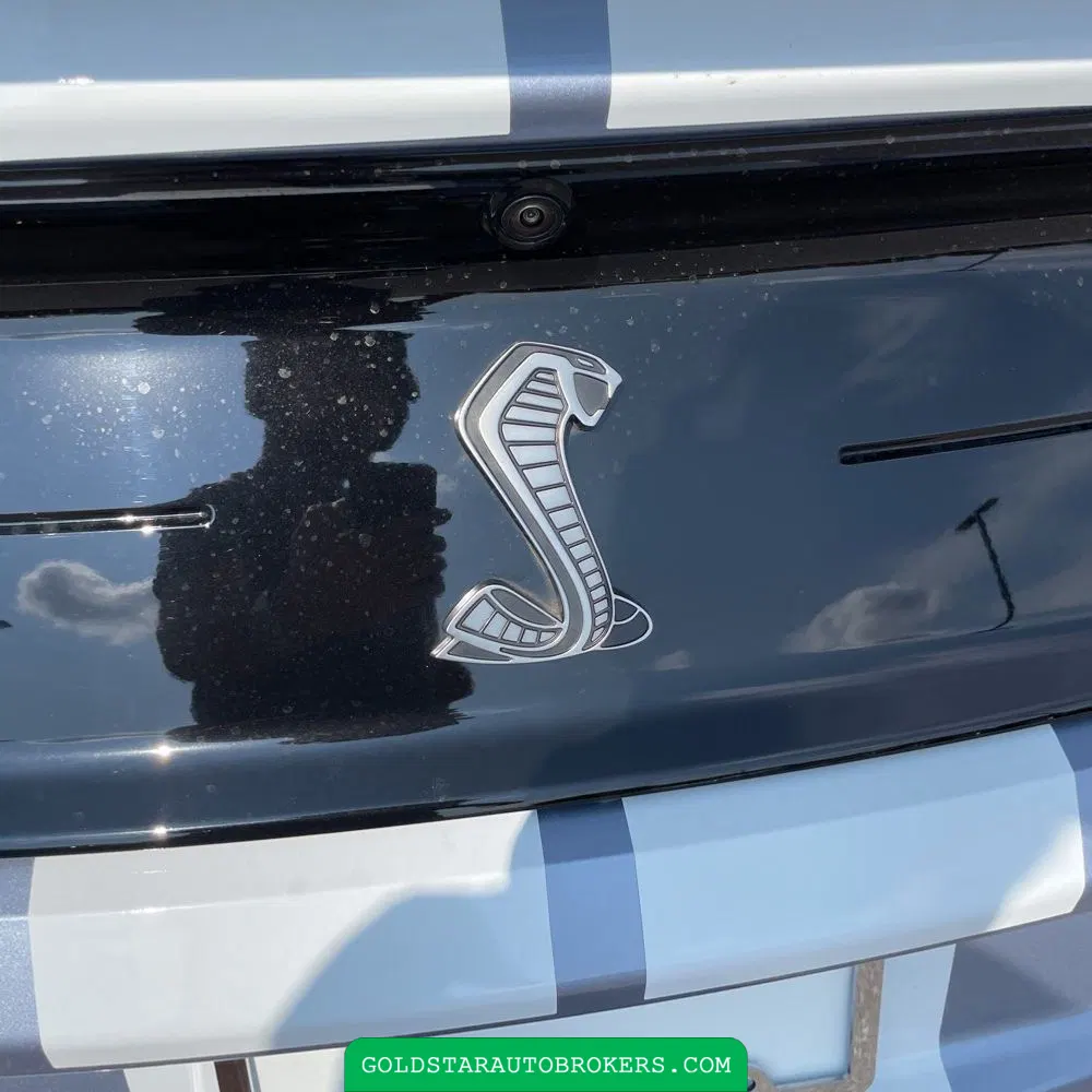 2022 Ford Mustang Shelby GT500