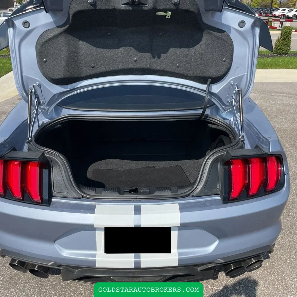 2022 Ford Mustang Shelby GT500