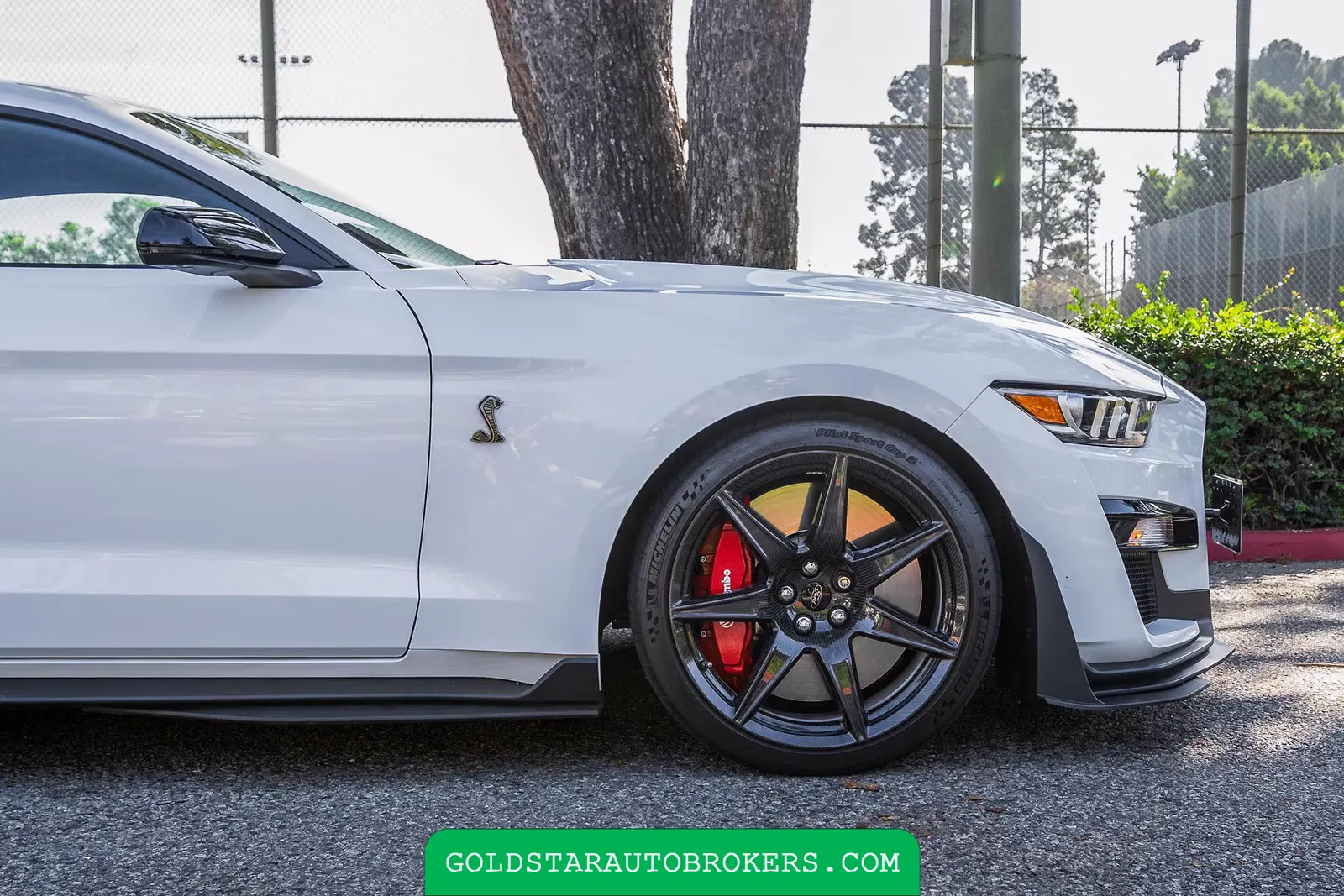 2022 Ford Mustang Shelby GT500