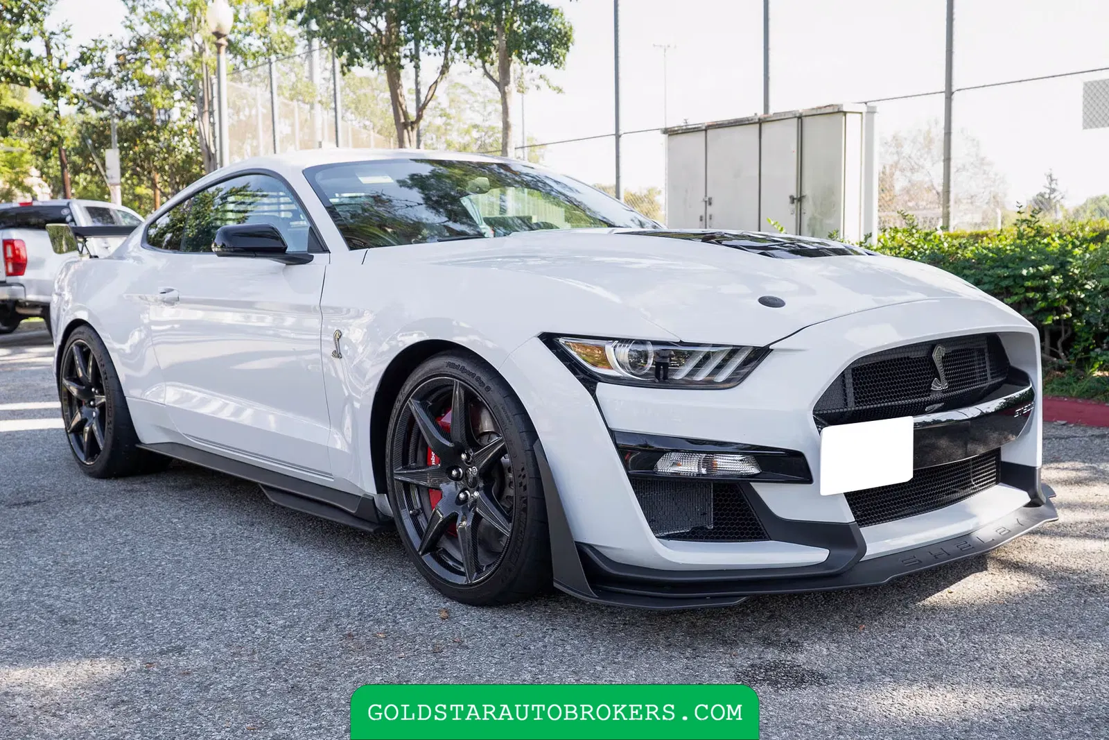 2022 Ford Mustang Shelby GT500