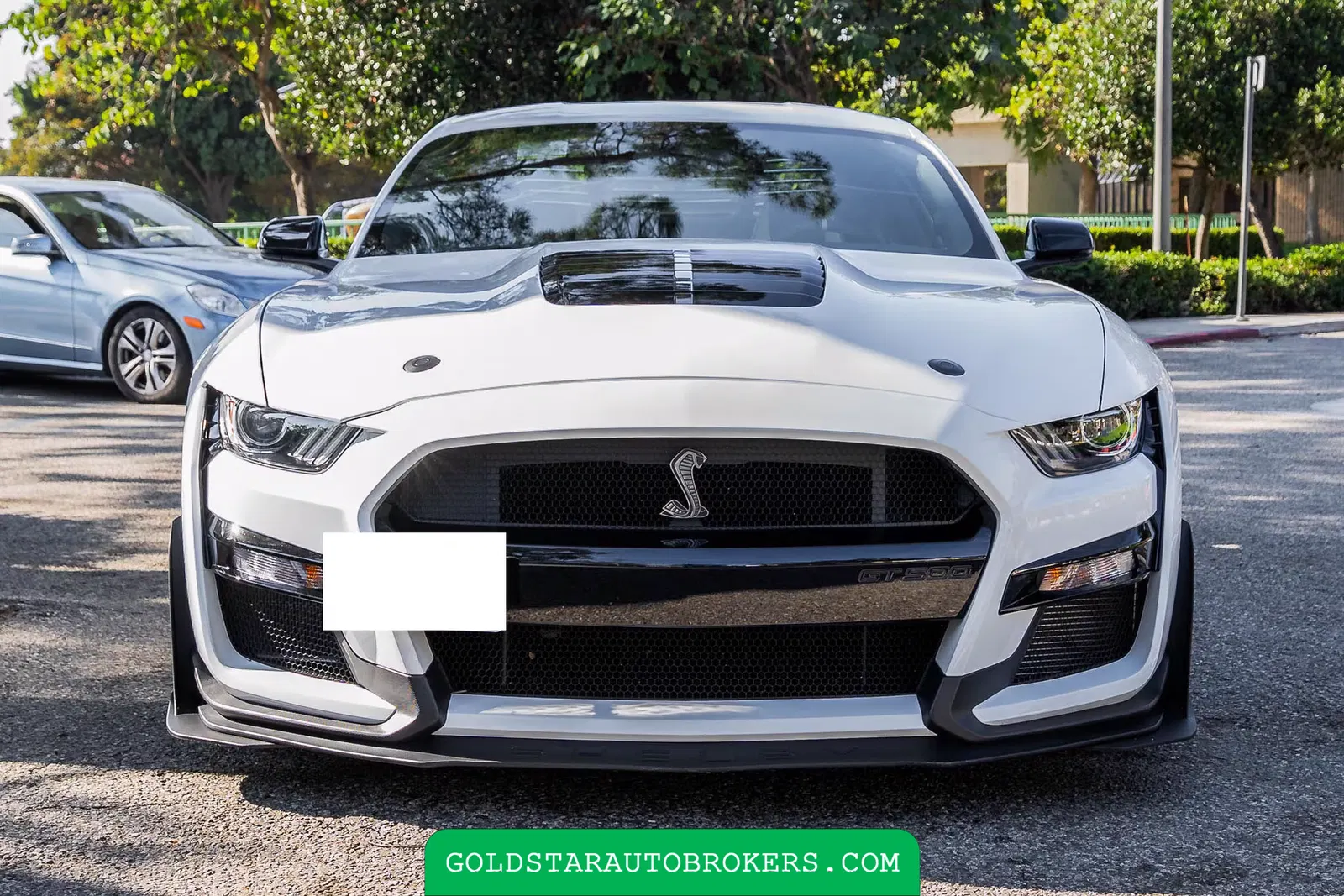 2022 Ford Mustang Shelby GT500