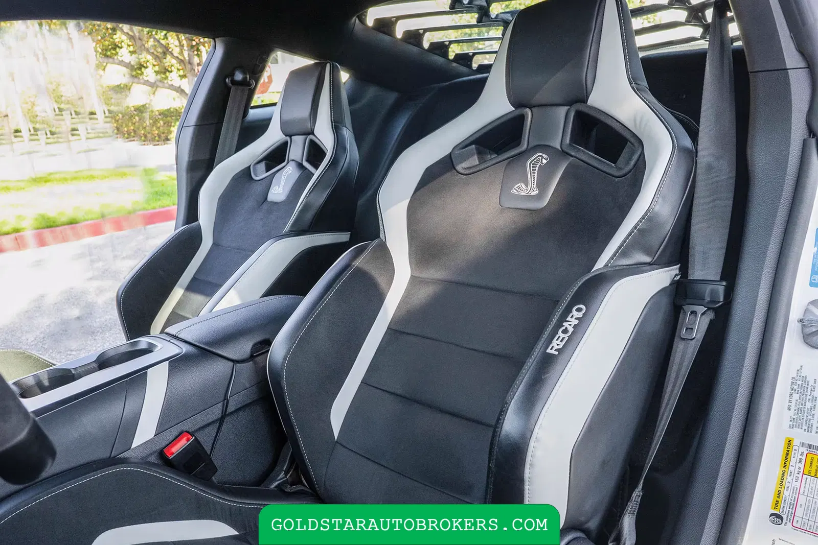 2022 Ford Mustang Shelby GT500