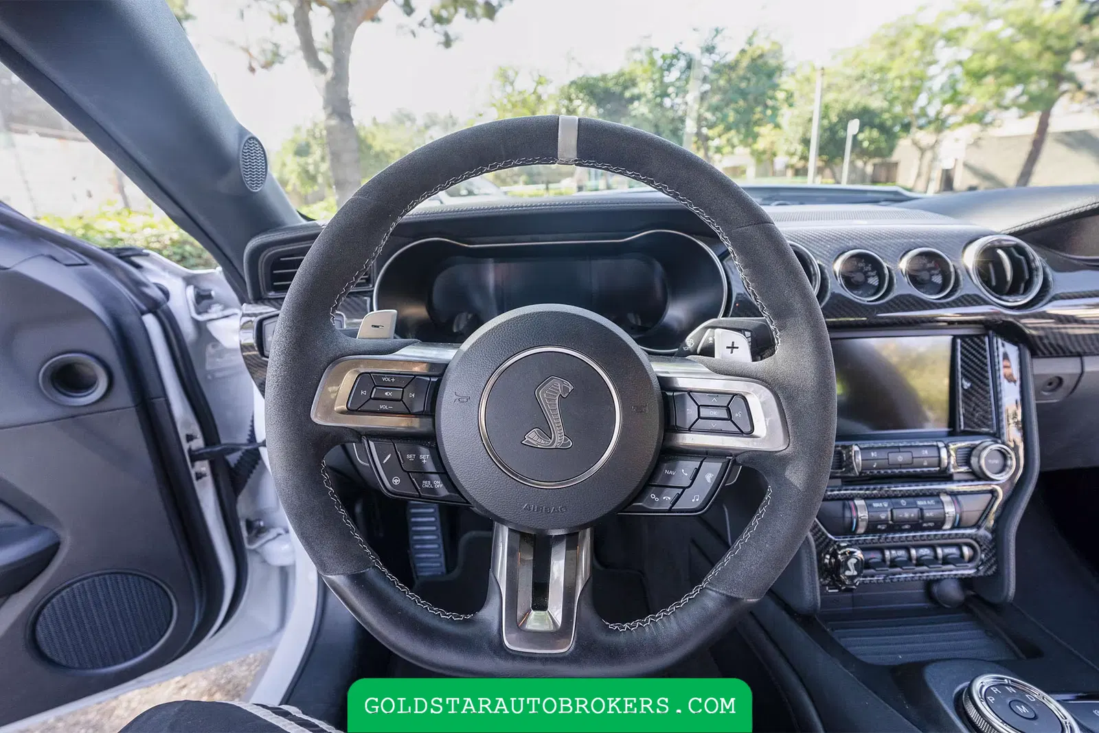 2022 Ford Mustang Shelby GT500