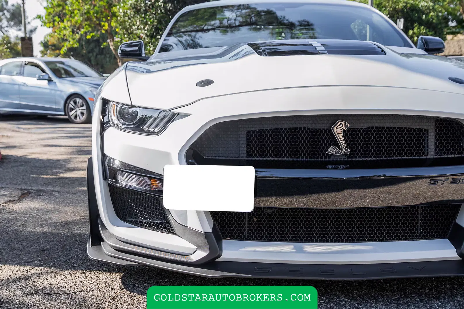 2022 Ford Mustang Shelby GT500