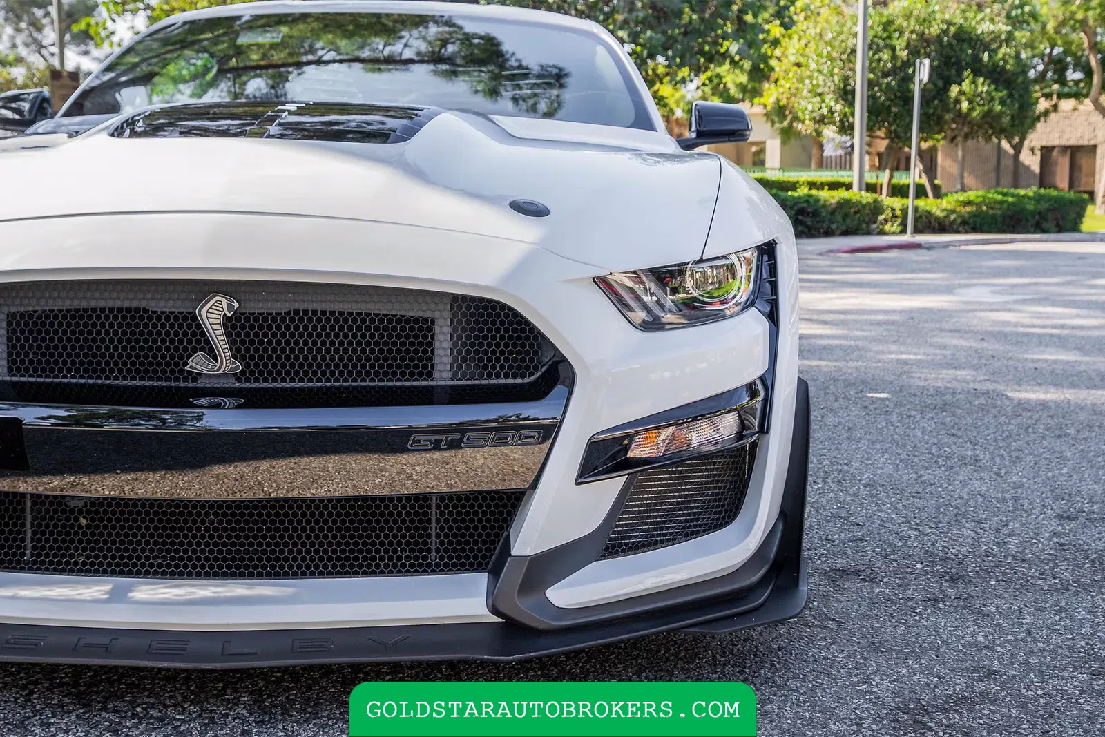 2022 Ford Mustang Shelby GT500