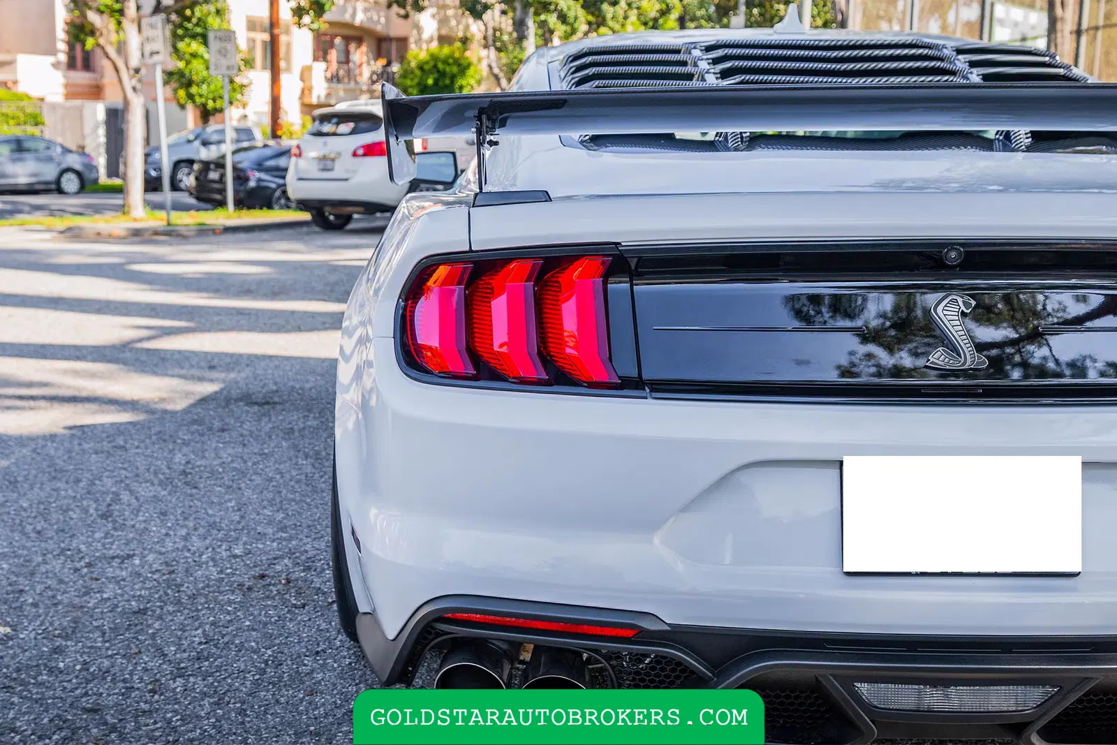 2022 Ford Mustang Shelby GT500