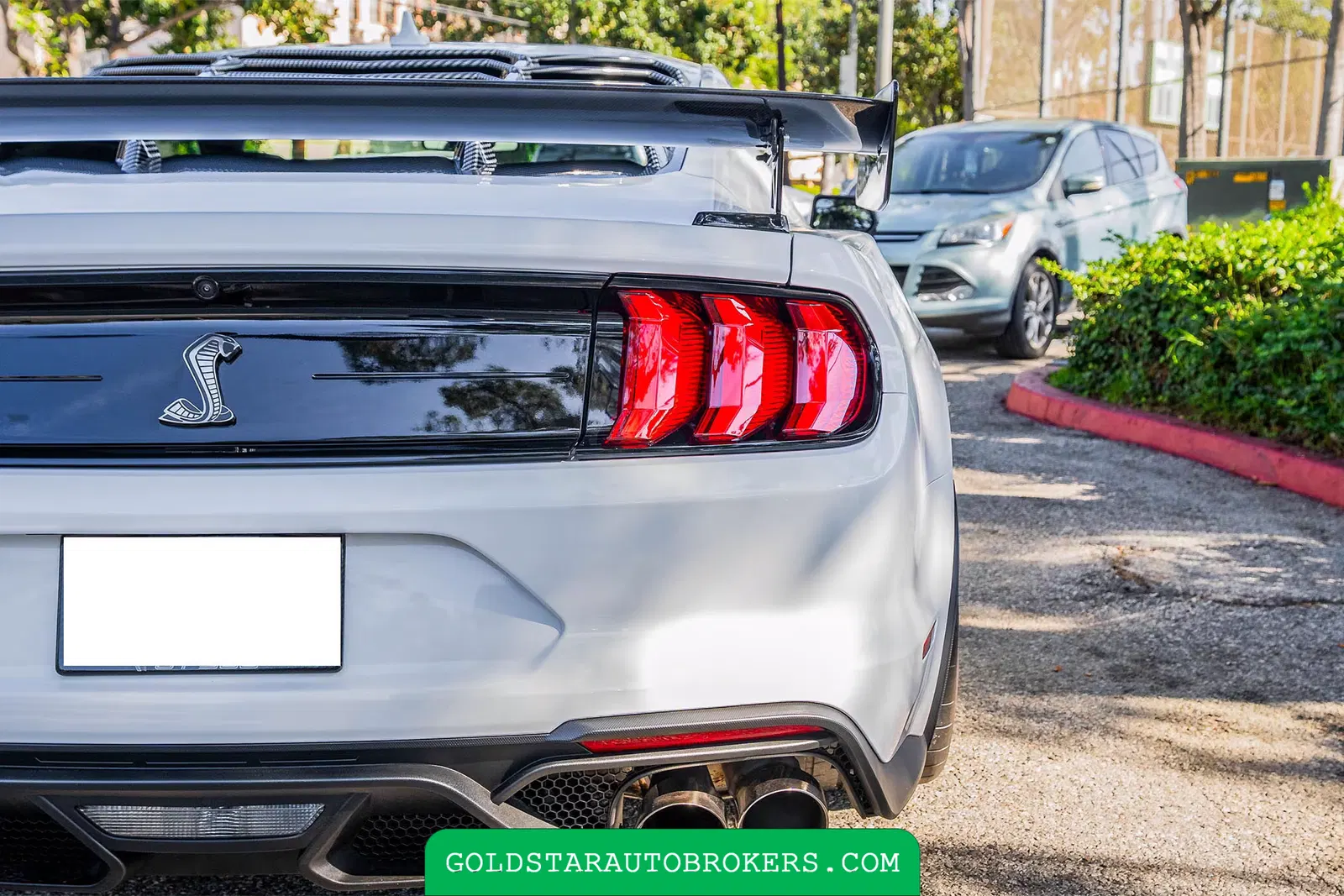 2022 Ford Mustang Shelby GT500