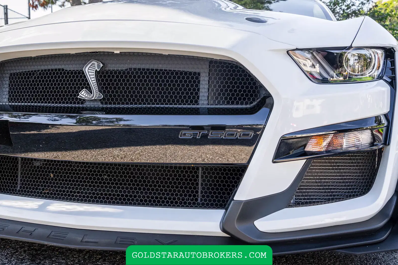 2022 Ford Mustang Shelby GT500