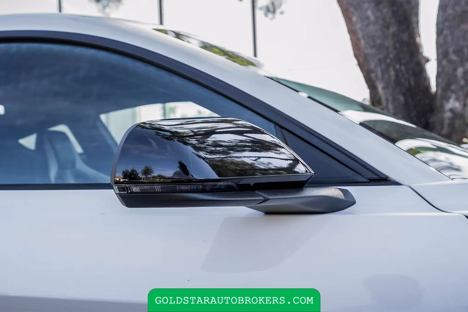 2022 Ford Mustang Shelby GT500