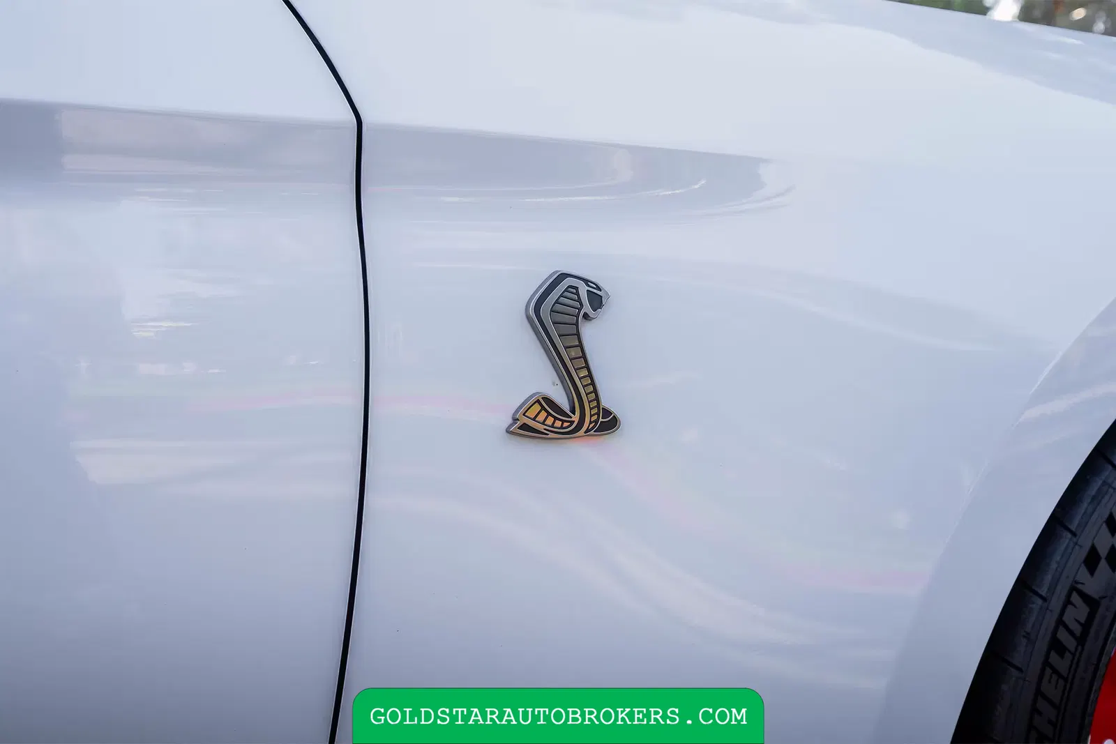 2022 Ford Mustang Shelby GT500