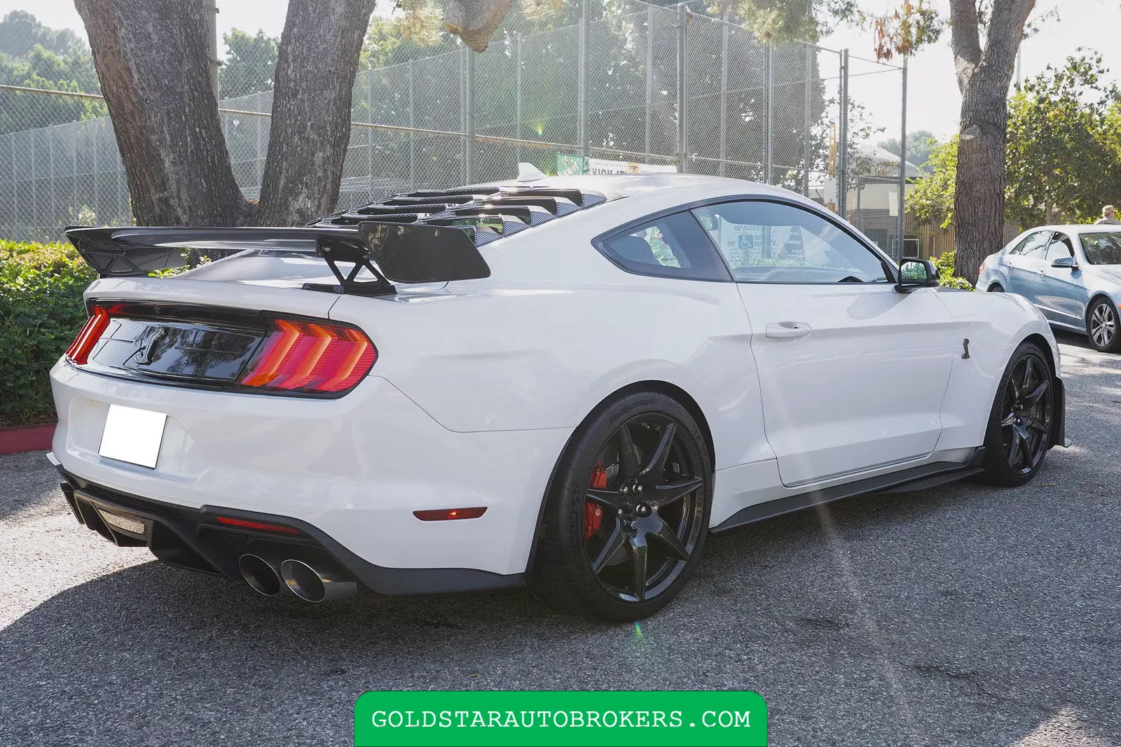 2022 Ford Mustang Shelby GT500